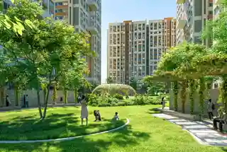 Landscaped Garden